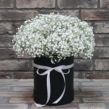 Цветочная композиция из Гипсофила в шляпной коробке #REPLACE_PRED# Учкекен