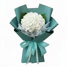 Букет цветов из:  Гортензия в Учкекен